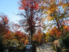 東山湖沿いにあるYCMA東山荘の敷地内の紅葉が綺麗で一枚