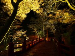 最後のイベントは横蔵寺に見に行った紅葉ライトアップ。