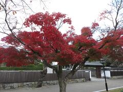 吉香公園