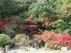 紅葉谷公園