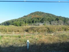 大和三山の一つである耳成山が見えてきて間もなく大和八木駅に到着。