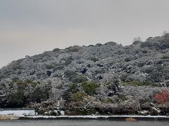 鏡川に出てきました。
筆山の森はうっすらと白くなっています。