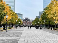 皇居乾通りの一般公開に出かけます。
東京駅丸の内中央口から皇居前の和田倉門交差点を結ぶ「行幸通り」。
