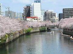 3月　都会の桜並木　大岡川(横浜)

猥雑な街並みのドブ川沿岸が、年に一度だけ華やぐ