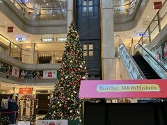 羽田空港から旅はスタート。
クリスマスシーズンなので巨大なツリーが飾られていました。