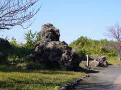 山を見てたら次のバス停を通り越してしまいました。その先に西郷岩。
何となく人の顔に見える。。。かな。
この次は遠いので赤水展望広場まで戻ります。