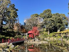 須藤公園ではまだ紅葉が残っていました。