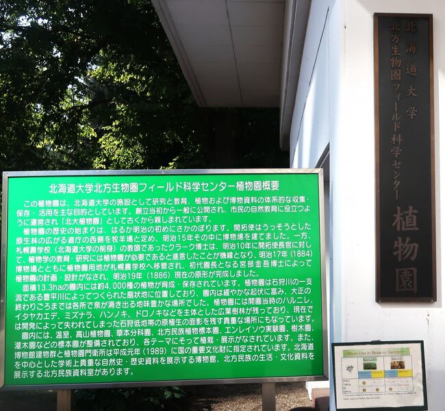札幌12 北海道大学植物園 《 緑のオアシス 》☆針葉樹の森・記念