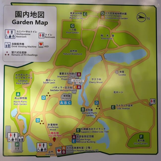 札幌12 北海道大学植物園 《 緑のオアシス 》☆針葉樹の森・記念