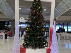 メリークリスマス！！

およそ3年ぶりの成田空港第2ターミナルはクリスマス仕様♪
というのも、出発当日はまさにクリスマスイブ☆彡
聖なる夜を南の島で迎えるぞ(^｡^)