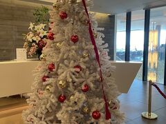 サクララウンジでもクリスマスツリーがお出迎え☆彡

やっぱりJALだけに、シンボルカラーの赤を基調としたデザイン。
フィリピン航空はスターアライアンスの一員だけど、2タミからの出発なので、ラウンジはサクララウンジに招待されたの。
ダンナはアウェー感いっぱいのようだけど、ありがたく利用させていただきます(*^^*)