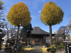 太田道灌ゆかりの芳林寺は駅から近いが、表通りからちょっと裏に入ったところに有ります。