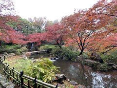 「浜松城公園」
紅葉が美しい