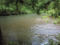 到着しました！十和田湖から流れ出る奥入瀬川。滝や清流を成しながら約14km続く流れが奥入瀬渓流です。