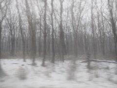 駅前からバスに乗り、1時間半。駅前では晴れていたのに
途中から急に景色が変わります。いいねぇいいねぇ