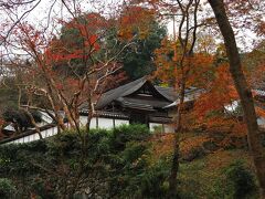 正暦寺は992年に一条天皇の発願により、関白九条兼家の子である兼俊が創建した寺院で10世紀創建の名刹といわれており、かつては86坊の塔頭が渓流を挟んで建ち並んでいたものの、現在では本堂・福寿院・坊舎跡に残る石垣のみとなっている。
菩提仙川越しに臨む宮殿エリアに建つ福寿院では、客殿の県指定重要文化財である鎌倉時代に制作された孔雀明王像や京狩野3代目：狩野永納筆の襖絵、護摩堂に安置されている不動明王像が拝観できる。
