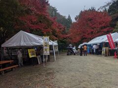 観光協会、JR、いろいろなテントが出ています。
この辺りはキャンプ場として使われているようです。
