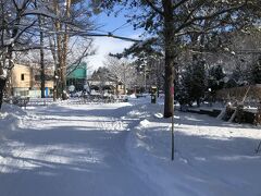 動物園のなかも一面の雪景色、というか、客がいない…