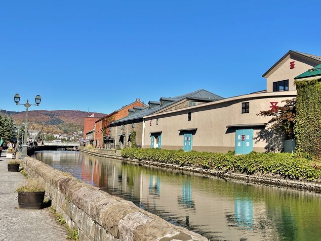 遊歩道を歩くと、どこか外国を歩いているような気分になります。