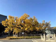 西本願寺(お西さん)