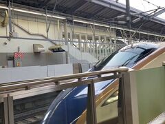 軽井沢駅までバスに乗り、北陸新幹線で上野までひとっ飛び。
帰りは指定席でゆっくり。