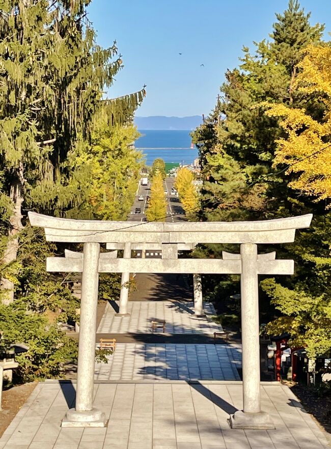 黄葉したイチョウ並木が連なって一本道のように見えます。