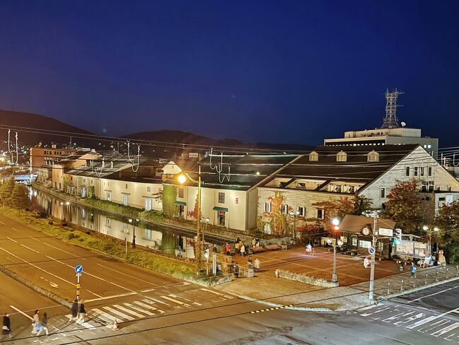 展望台から眺める夜の小樽運河。あまり知られてないのか誰もおらず、景色を独り占め(^^♪