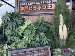 駅の階段を降りてすぐに『神戸どうぶつ王国』の入口、なんと便利の良い動物園なのでしょう～♪

AM１１：２３到着！！