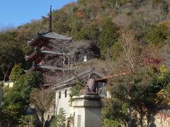 真光寺 岡山備前市
奈良時代に僧・行基によって開基したとされています。