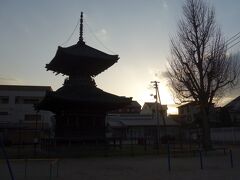 遍照寺多宝塔（重要文化財）とイチョウの木