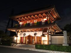 善光寺坂のむくのき