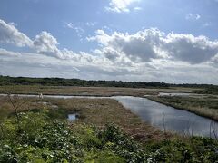 地元ではユニムイ(砂盛)と呼ばれ、38haの広さがある沖縄県最大の湿原です。池間島のちょうど中央にあり、島の面積約290haの13％を占めます。 池間湿原は、平成13年 (2001年)に環境省の「日本の重要湿地500」に選ばれ、平成23年(2011年)に「池間鳥獣保護区」として池間島全体が国指定鳥獣保護区に指定されています。 今では、岸辺に鉄骨造りの展望台があり、アクセス道路や駐車場もあります。
こちらで、京都から数か月、宮古島の病院で働きに来た女性とお話しする。
ずっと天気悪くて外出れなかった。ラッキーですよと。