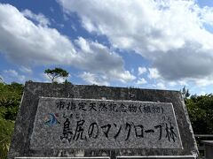  マングローブは、川の河口付近で、熱帯・亜熱帯地方の海水と淡水が混じりあう汽水域の泥土に生える常緑の植物の総称
