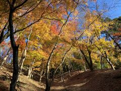 車を停めたら川に沿って左に綺麗な紅葉を見つつ歩きました。