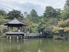 境内には東京ドーム３．５倍の広さ成田山公園（写真）があります。浮御堂で餌をやると鯉が集まってきます。