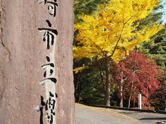 　毎年柏崎市立博物館(   https://www.city.kashiwazaki.lg.jp/k_museum/index.html   )駐車場に車を停めさせていただきます。(無料)