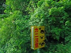 バスは南部をぐるりとまわって那覇空港近くの瀬長島に入りました。途中には「カニ注意」の看板があります。これはオオガニという種類のカニが道路に現れるからのようです。今年は北海道で「クマ注意！」「鹿注意！」タヌキにキツネの看板も見ました。奄美大島では「アマミクロウサギ注意！」もありました。