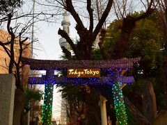 そして公園の奥にあるのが『牛嶋神社』
東京スカイツリーとカラフル鳥居イルミネーション。