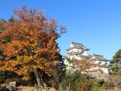 最後の目的地、伊賀上野城に到着。ここは山合いだからか、紅葉真っ盛り。