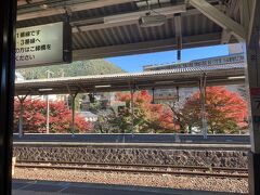 下呂駅からもホーム越しに紅葉が。