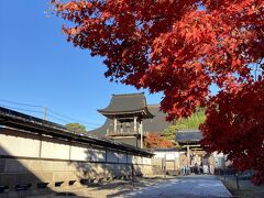 慈恩禅寺 ?草園