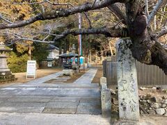 加西市にある法華山一乗寺に来ました。
姫路駅からバスで35分くらい。