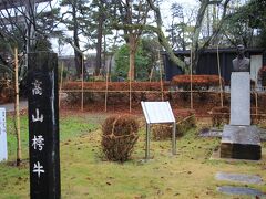鶴ヶ岡城跡の鶴岡公園に到着。
鶴岡公園内に高山 樗牛胸像
高山 樗牛は、鶴岡出身の明治時代の日本の文芸評論家、思想家。