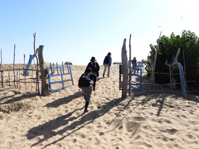 砂に足を取られつつ