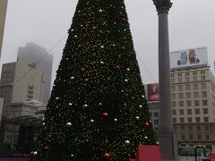 現在、雨季の真っ只中なので今朝も小雨からのスタートです。巨大なツリー&#127876;