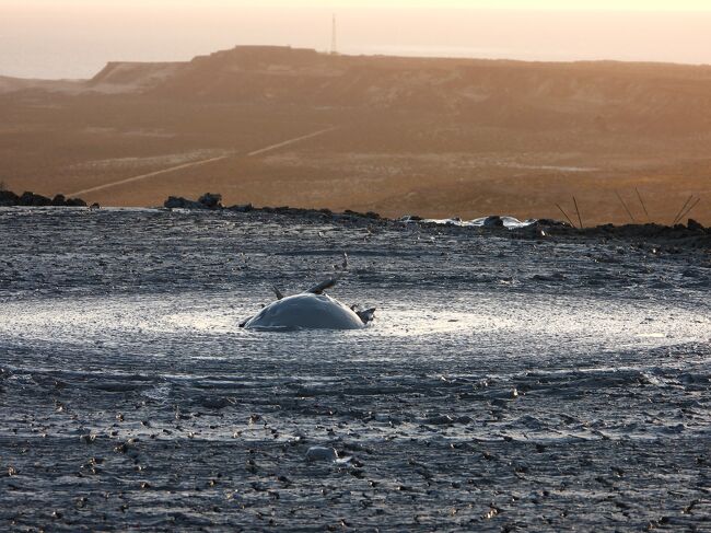 チャンドラグプⅠ