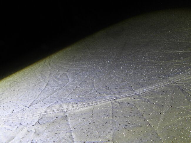 午前６時<br />これは雨が降ったのかね～。