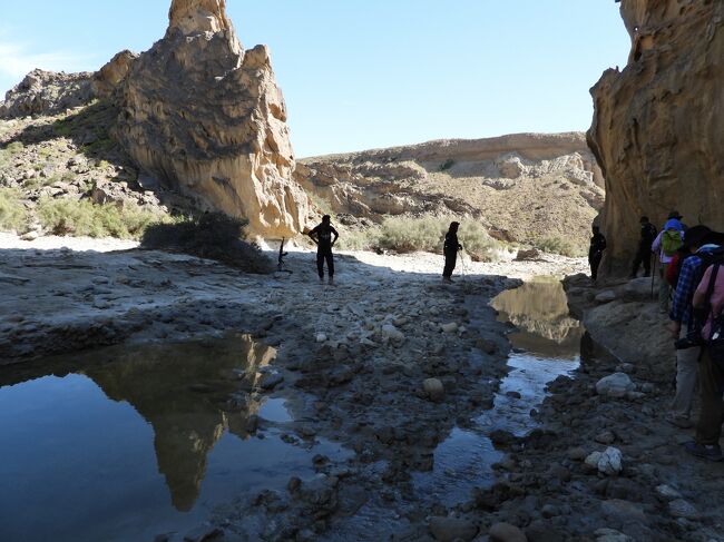 水辺まで戻ってきました。
