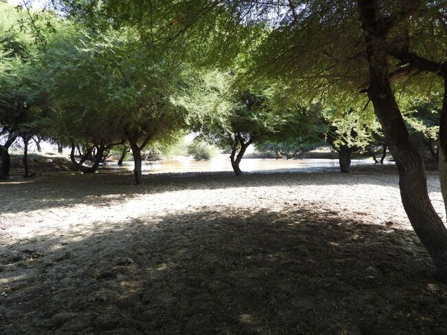 落ち着いた雰囲気のここで