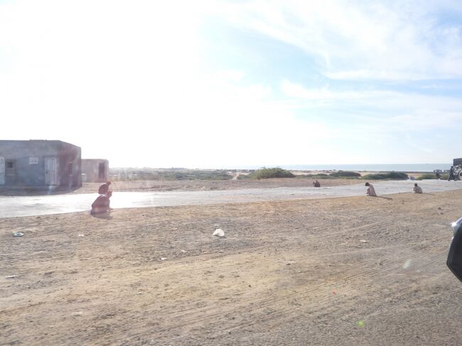 漁網を補修している？